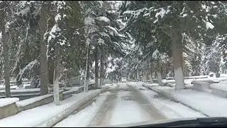 Merhum Yılmaz Sarıbaba'nın mezarı