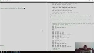 EagleFly 132 Starting the instruction stream tester