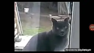 Саня Найс 👻 открой