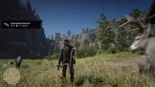 Do NOT Skin Animals on Red Dead or this will HAPPEN