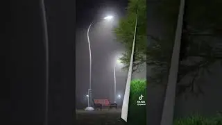3 ноября 2022 г.