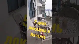 Осталось ... дней
