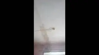 Студенческий кошмар выживания