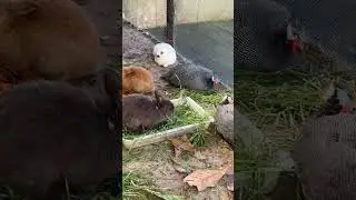 В Единстве 
