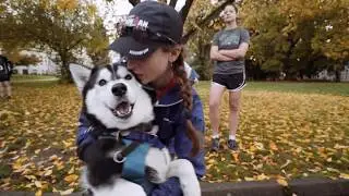 Alaska Airlines Dawg Dash