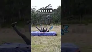 How Animals Sleep...😂 Part 2 