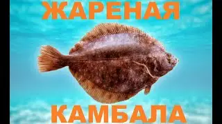 Самый простой рецепт жареной КАМБАЛЫ