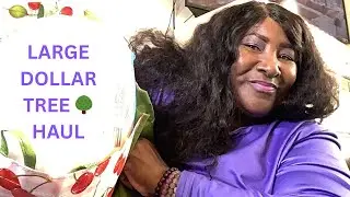 LARGE DOLLAR 💵 TREE 🌳 HAUL! 