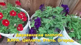 Что выросло. Кто вырос. Огород. Цыплята. Утята. Жизнь в деревне.