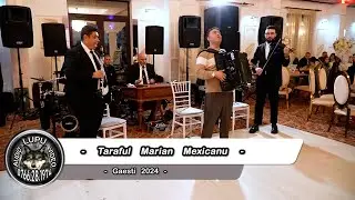 Taraful Marian Mexicanu - 5 - Gaesti 2024