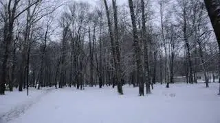 Снегопад в апреле