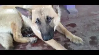 на улицы дождь идёт кучу воды ,всё затоплино .это жесть.
