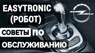Easytronic: Robotic Gearbox Maintenance | Tips and Lifehacks.