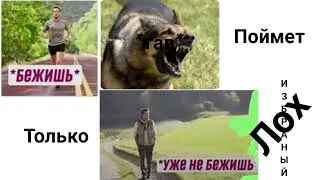 поймет только избраный лох
