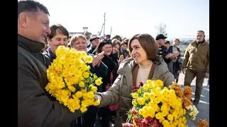 NEWS DIGEST 29.10.2024
