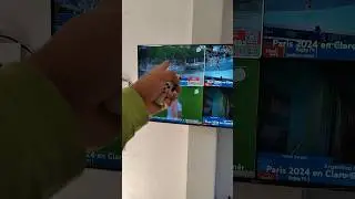 Cómo mirar los juegos Olímpicos Paris 2024 como un profesional?