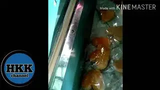 5 tahap usaha keu kacang, harus kita pahami.