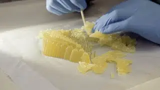 Iris van Herpen | Ludi Naturae | Process film