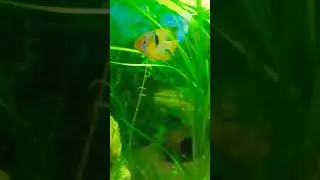 подводный мир