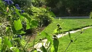 США/ USA/Seattle/YOA GARDEN/парки/цветы/путешествия/релакс.wmv