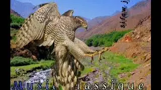 Music amazigh//3afach Albaz//اغنية امازيغية بعنوان//عفاش الباز//❤️❤️🎸🎶