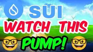 Sui Price Prediction! Sui coin News Today