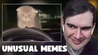 БРАТИШКИН СМОТРИТ: UNUSUAL MEMES COMPILATION V283