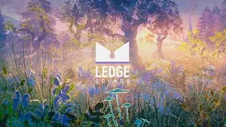 Atlantic Connection - Equilibrium