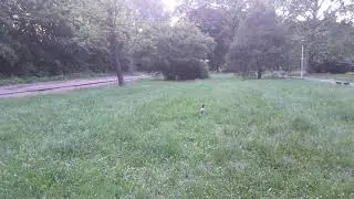 Topciderski Park