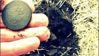 ПОКА ЗЕМЛЯ СЫРАЯ, РОЕМ МОНЕТЫ!!!