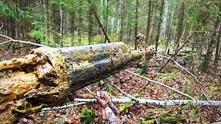 Раскопки в Рамушевском коридоре смерти.  Вахта Памяти 2018 / Excavations of Soviet soldiers WW2 