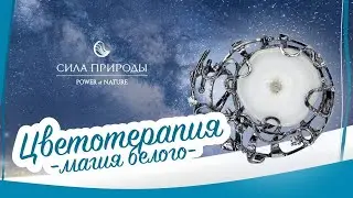 Цветотерапия или хромотерапия на примере белого цвета от дизайнера и стилиста  бренда Сила Природы.