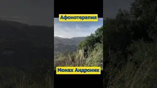 Афонотерапия 4 марта 2024 | Монах Андроник