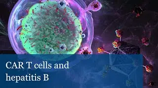 CAR T cells and hepatitis B (Ulrike Protzer)