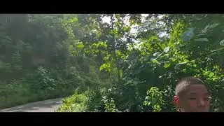 Short trip