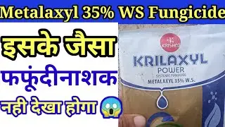 Metalaxyl 35% WS Fungicide॥ मेटालैक्सिल फफूँदीनाशक॥ सबसे बेस्ट, सबसे सस्ता Fungicide॥ Crilaxyl power