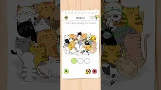 brain test all star level 47 solution