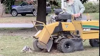 Stump Grinding in Columbia, SC