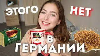 РОССИЯ VS ГЕРМАНИЯ 🇩🇪