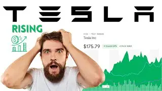Tesla Stock Price Prediction Analysis Today In 2024 / Best Growth Forecast News