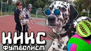 Далматин Кикс #7 сборник▷поездка к ветеринару и увлечение футболом