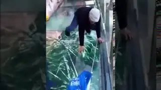 На новом стекляном мосту в Китае треснуло стекло / Glass was cracked in China on a new glass bridge