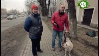 Планета собак. Поводыри. Учебно-кинологический центр 
