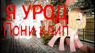 Пони клип-Я урод