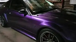 Plasti dipped Mustang GT