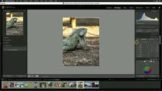 How do I make an image pop in Lightroom Classic?