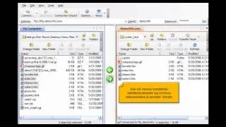 Transfiriendo archivos con WS_FTP