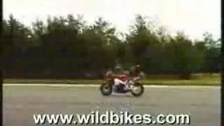 Wild Bikes 6