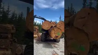 Not your average forwarder load #canada #shorts