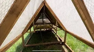 Laying Chicken Mobile Shelter